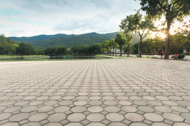 Best Commercial Driveway Pavers  in Watford City, ND