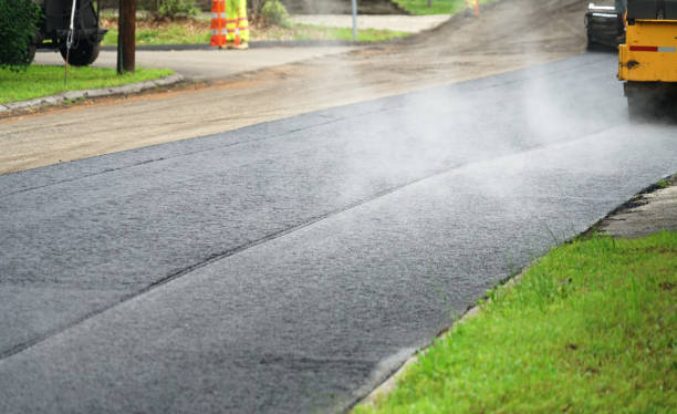 Best Professional Driveway Pavers  in Watford City, ND